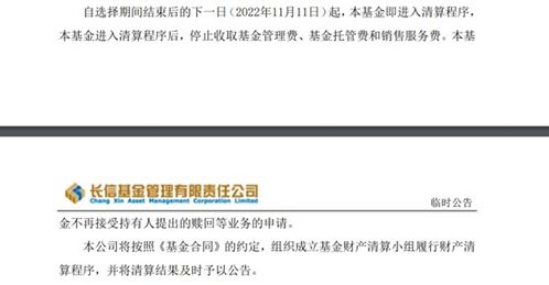 年內175只基金清盤離場 行業加速優勝劣汰，投資者如何應對？